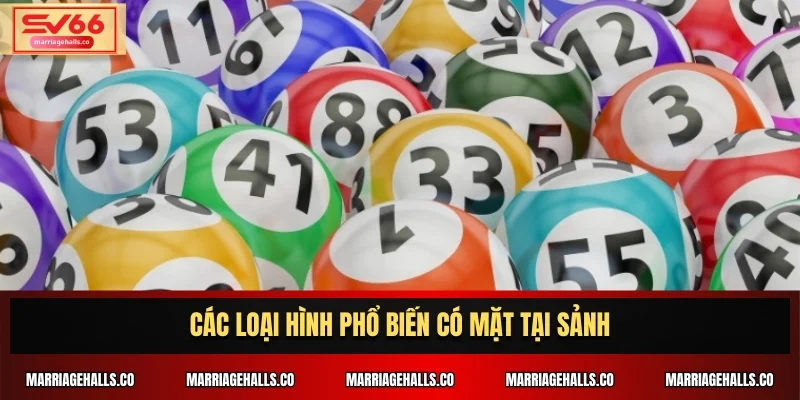 Các loại hình phổ biến có mặt tại sảnh