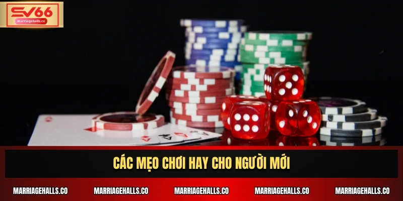 Các mẹo chơi hay cho người mới