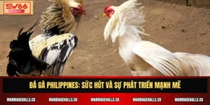 Đá Gà Philippines