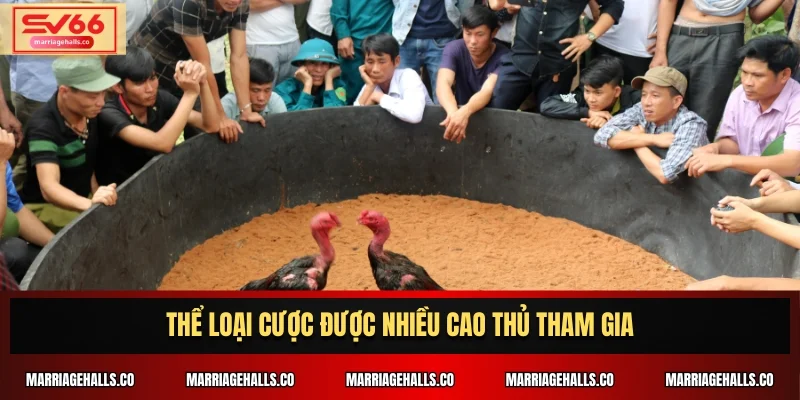 Thể loại cược được nhiều cao thủ tham gia