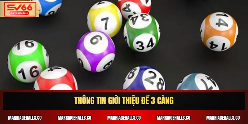 Thông tin giới thiệu đề 3 càng