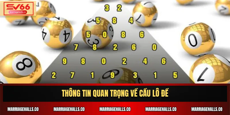 Thông tin quan trọng về cầu lô đề